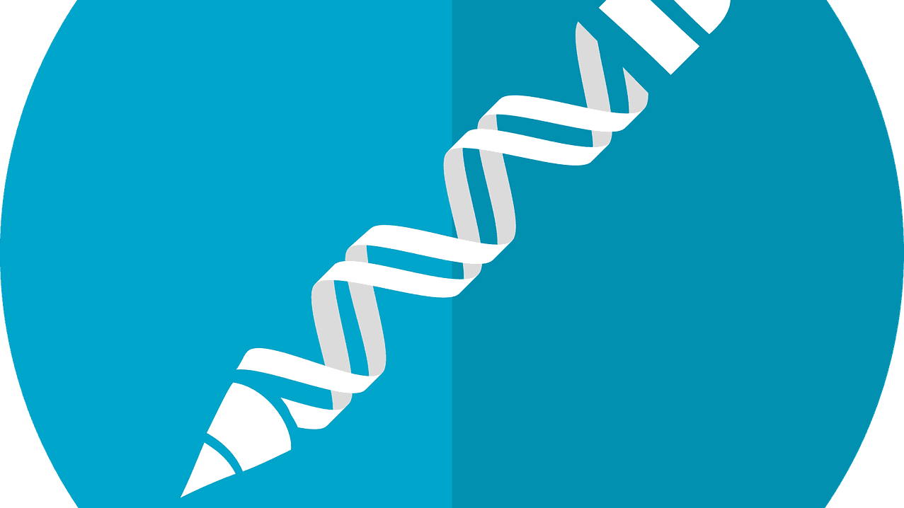 Gentechnik-mcmurryjulie-Pixabay-gene-editing-2375732_1280