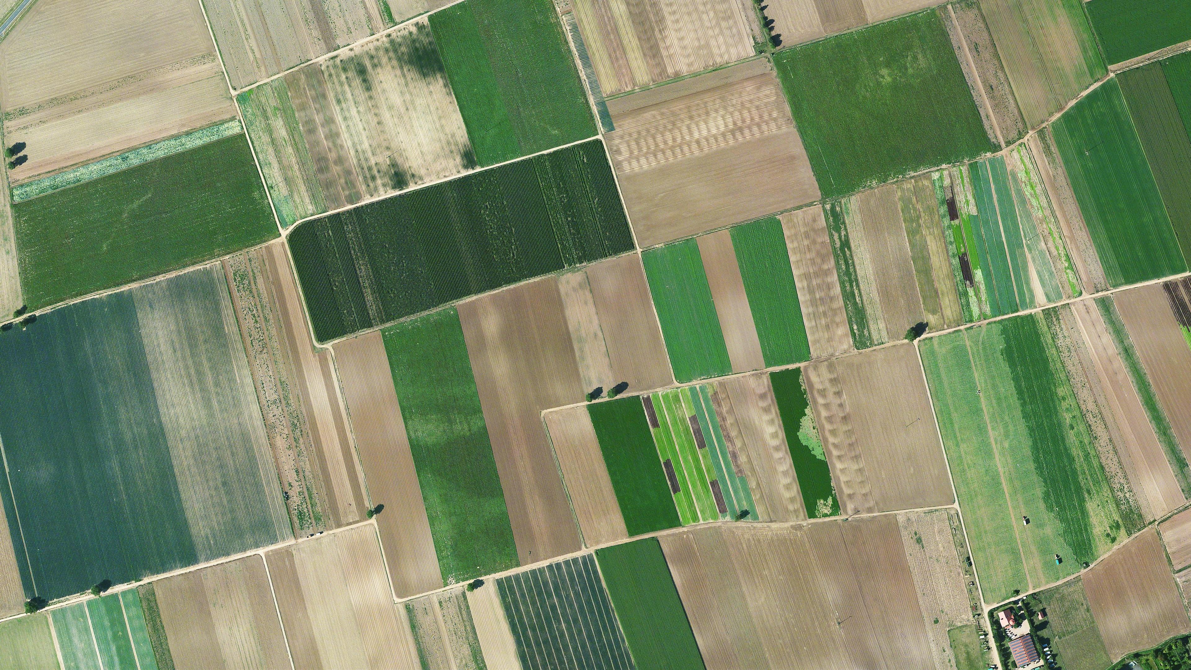 Luftbild von Agrarlandschaft
