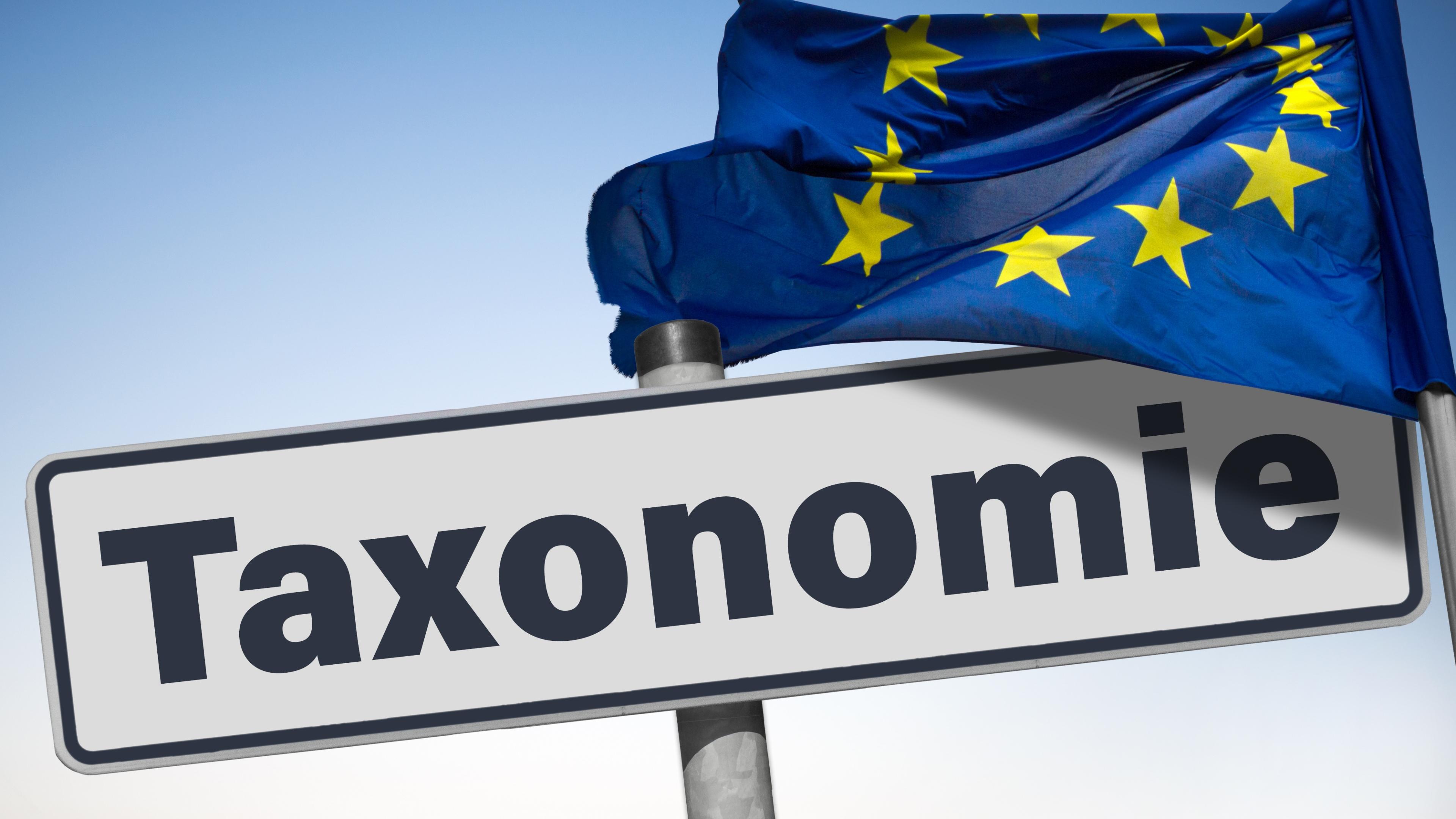 Europaflagge weht über einem Schild mit der Aufschrift "Taxonomie"