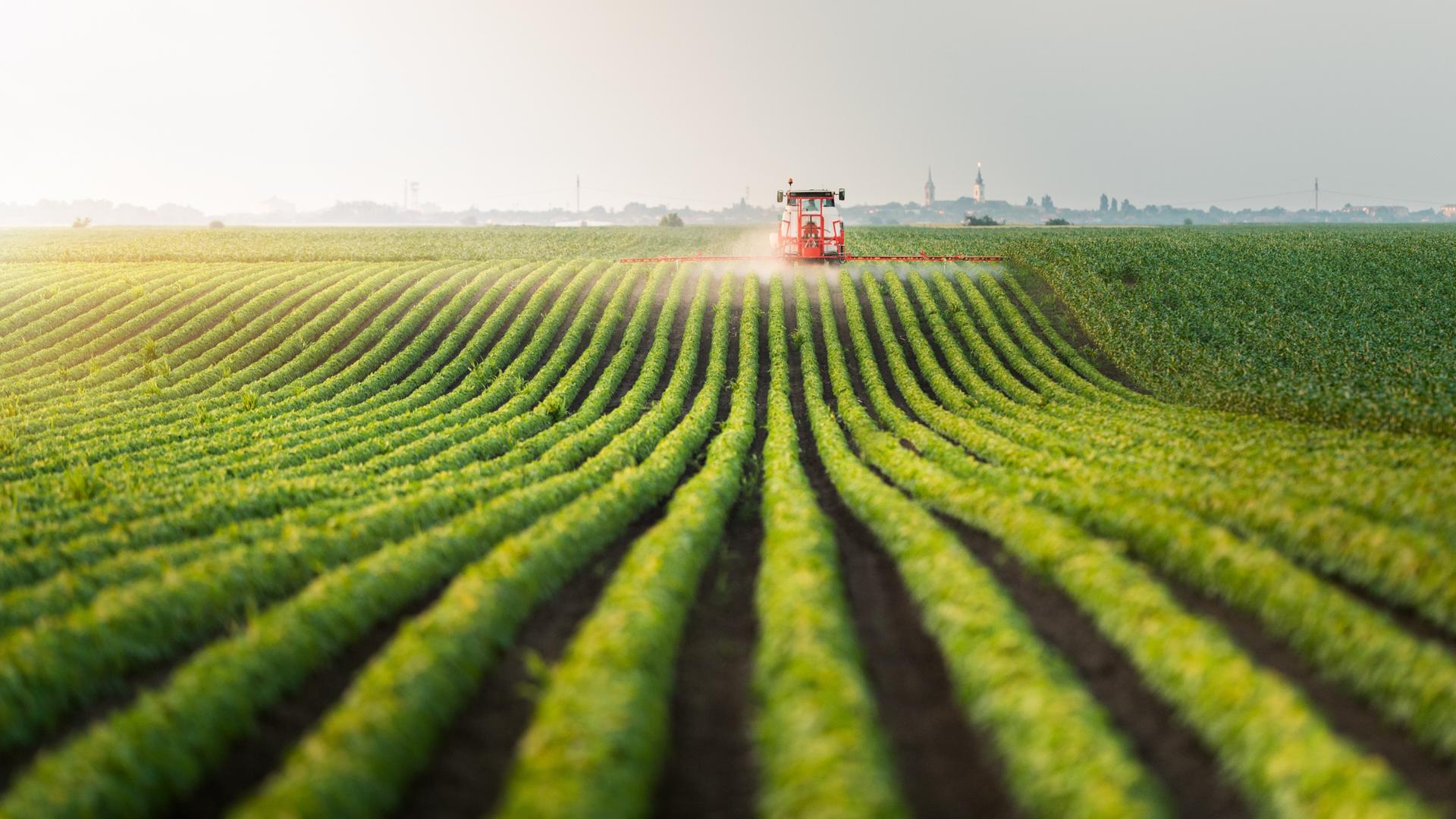 Traktor sprüht Pestizide auf Sojabohnenfeld