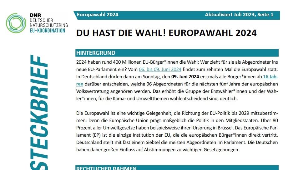 Screenshot Titelblatt DNR-Steckbrief Europawahl