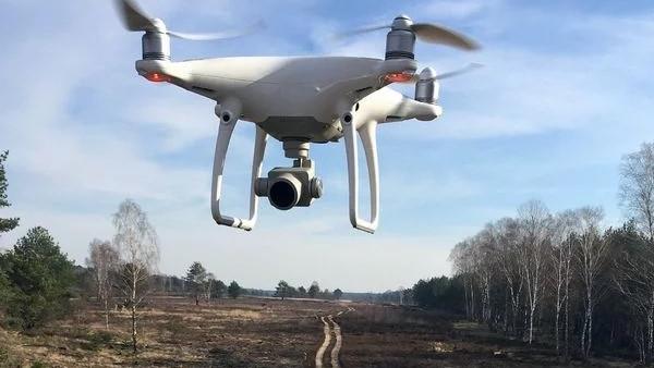 Drohne über Heidelandschaft