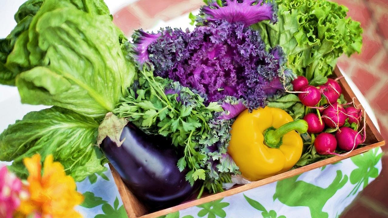 Gemüse ist gut für die Gesundheit und den Planeten.
