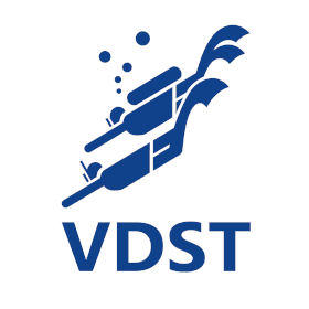 Logo VDST web