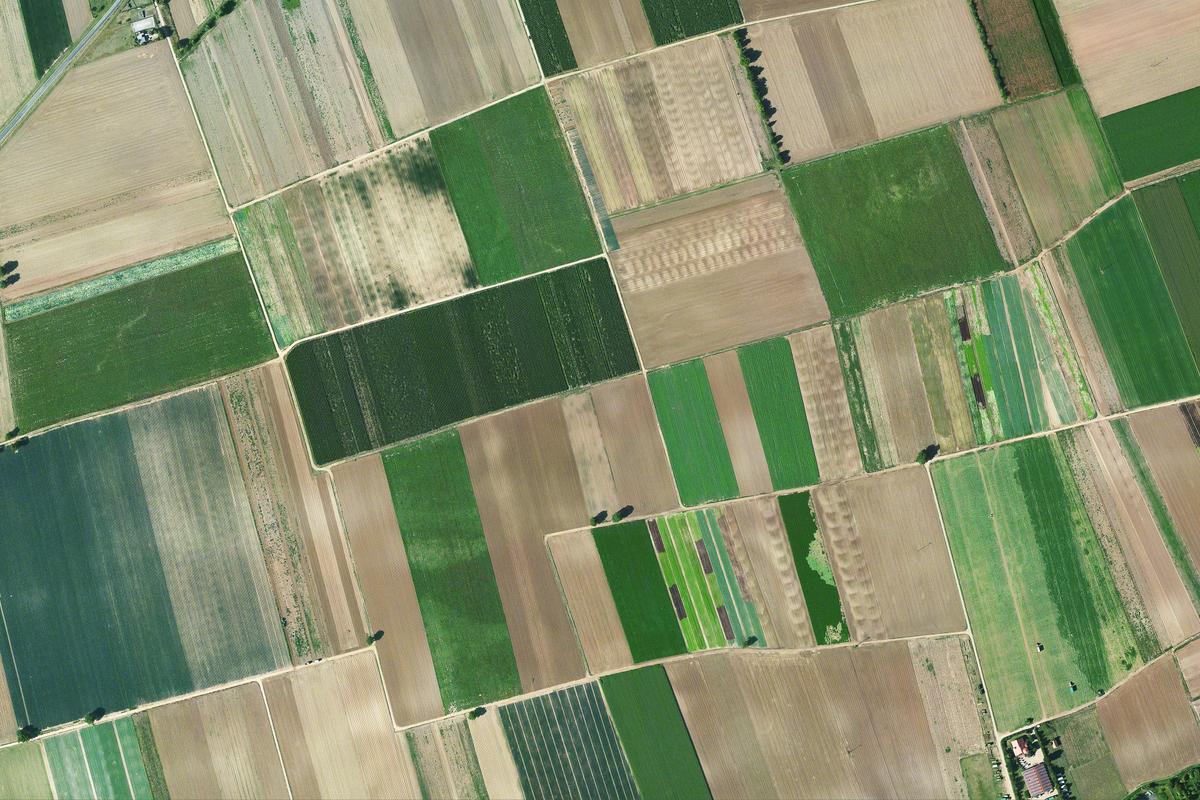 Luftbild von Agrarlandschaft