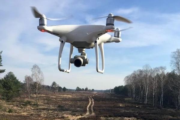 Drohne über Heidelandschaft