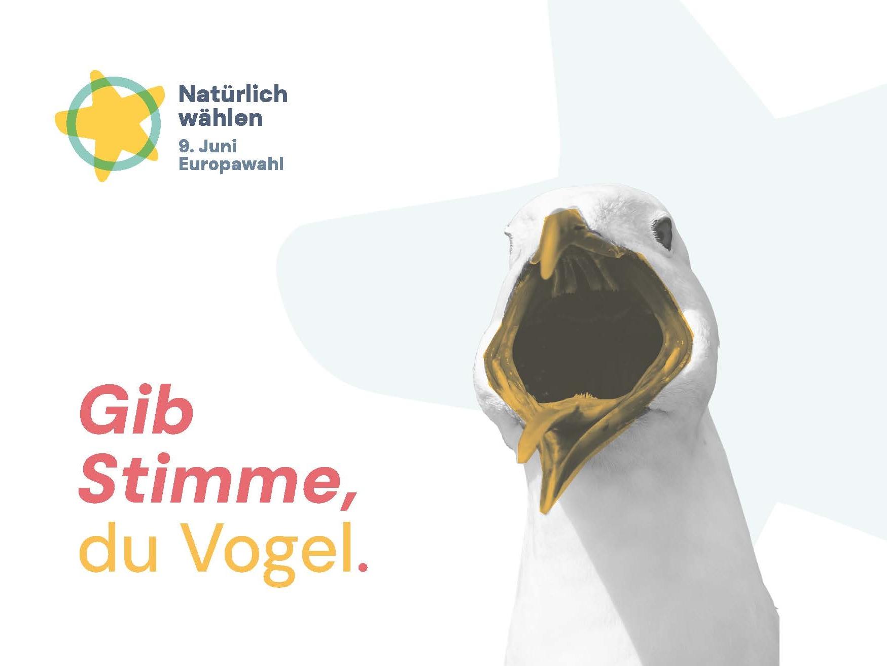 Postkarte Europawahl 2024: "Gib Stimme, du Vogel"