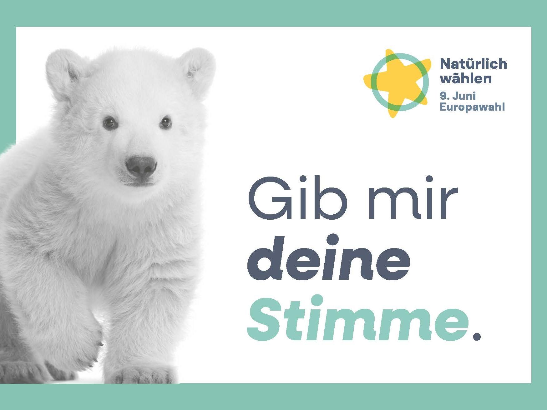 Europawahl Postkarte, Eisbär: "Gib mir deine Stimme."