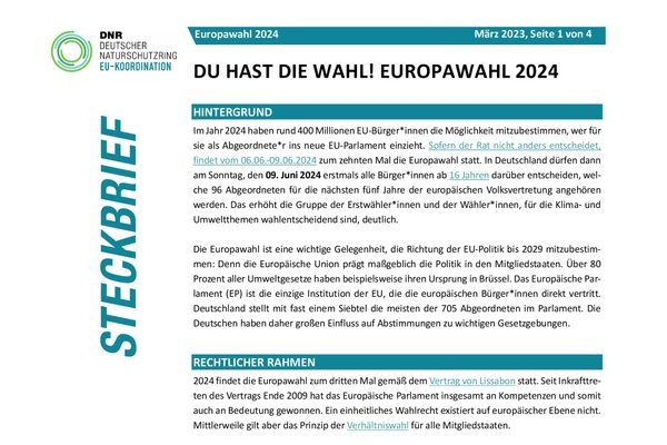 Steckbrief zur Euroawahl 2024